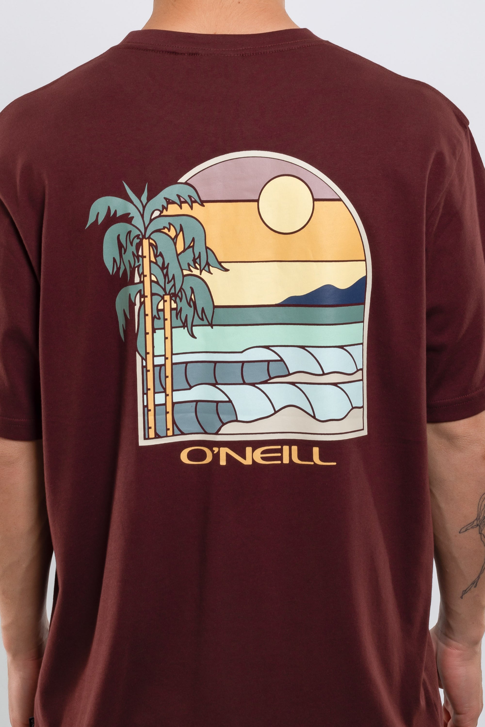 Remera Glassy Days O'Neill